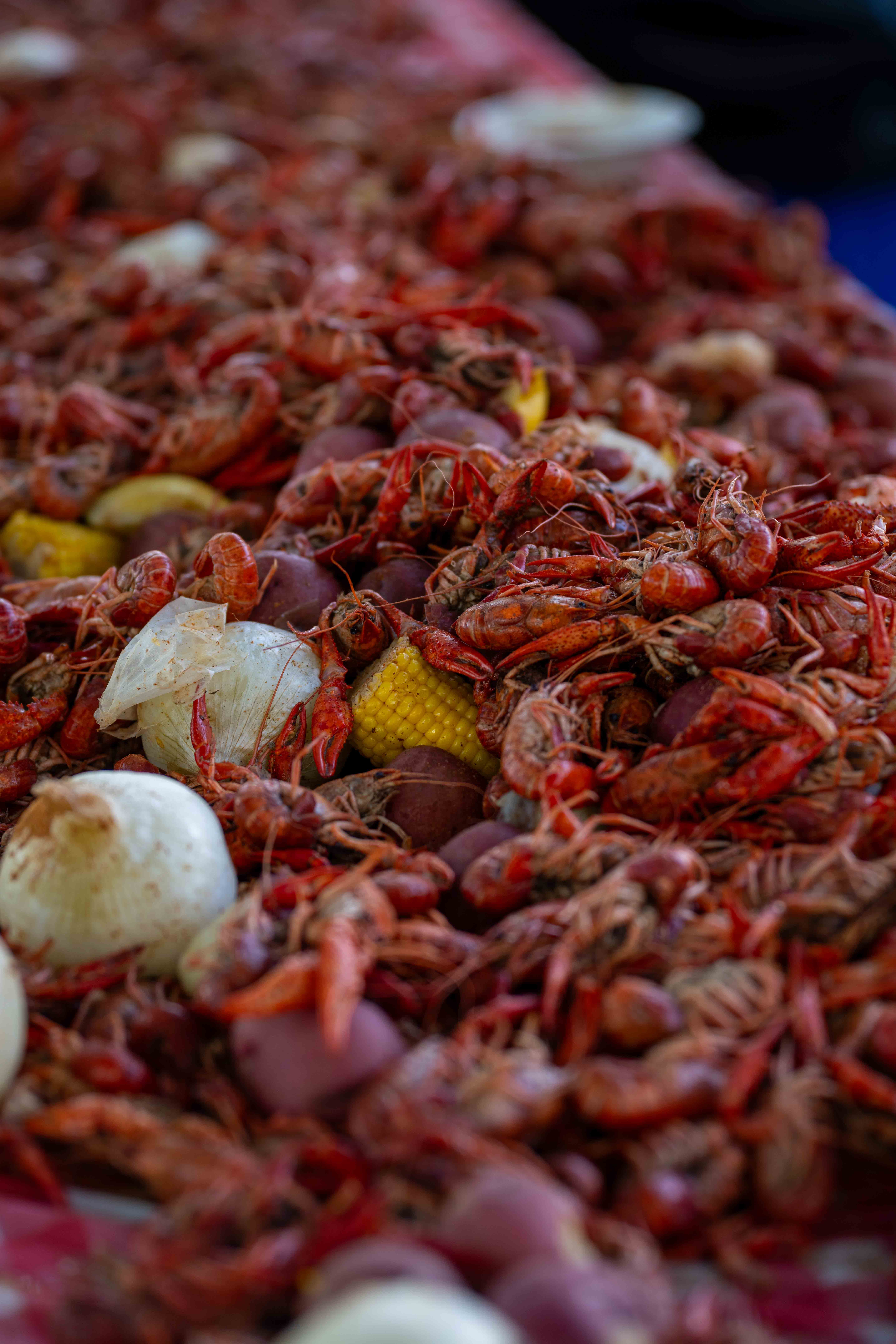 Crawfish boil catering spread at an Austin event